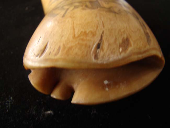 A beautiful late 19th/early 20th century scrimshawed whale's tooth with War of 1812 Battle of Lake Erie. — image 5